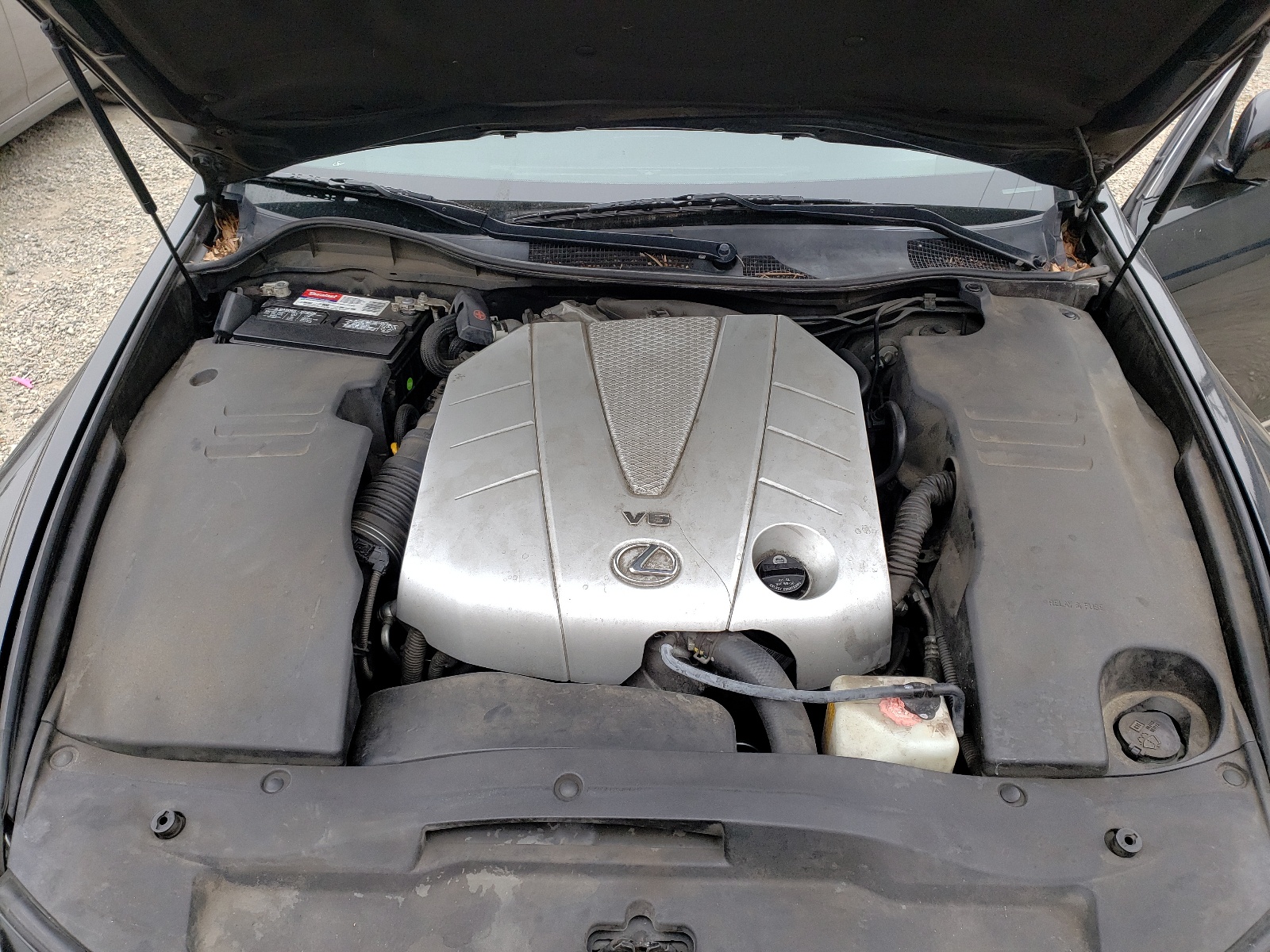 JTHBE96S770022593 2007 Lexus Gs 350