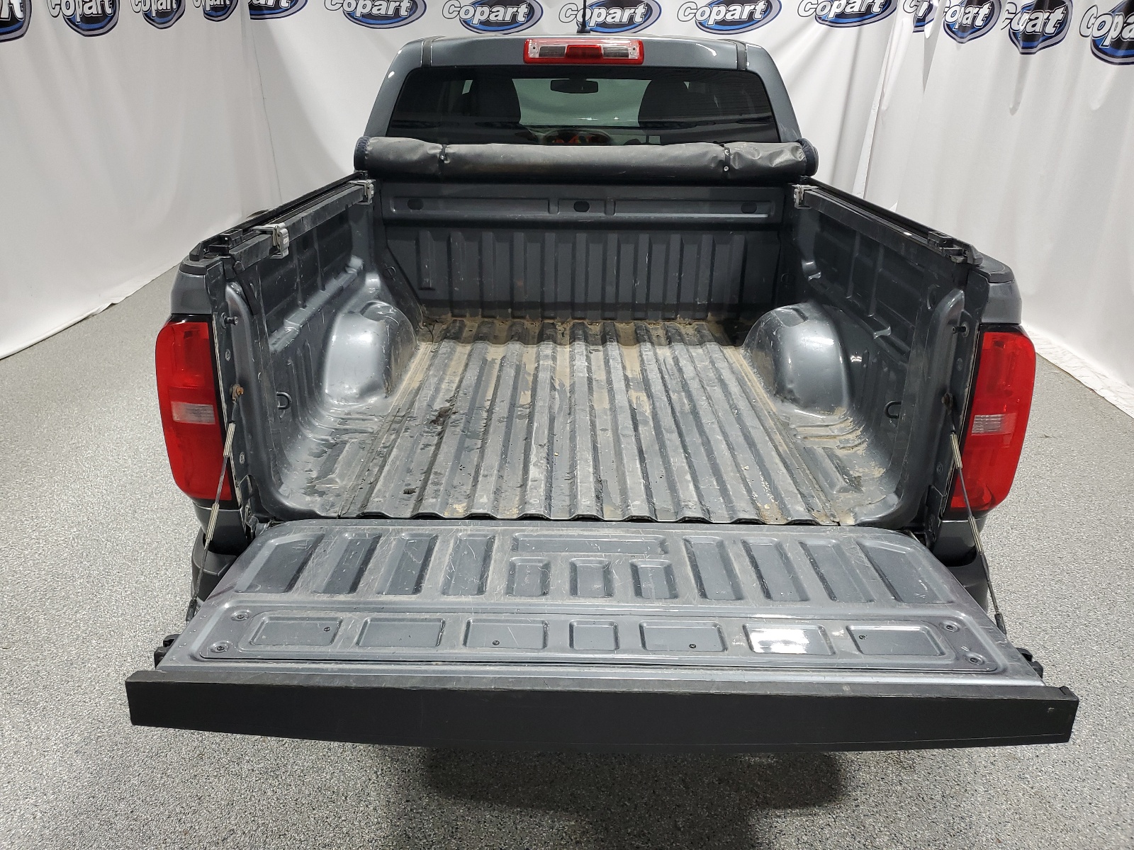 1GCGTBEN9K1240733 2019 Chevrolet Colorado