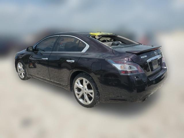  NISSAN MAXIMA 2012 Фіолетовий