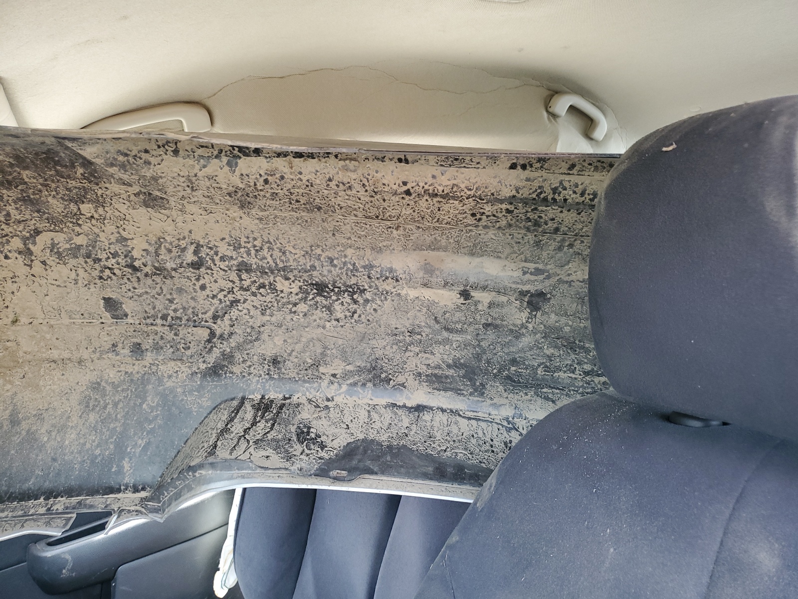 3N1CC11E89L452687 2009 Nissan Versa S