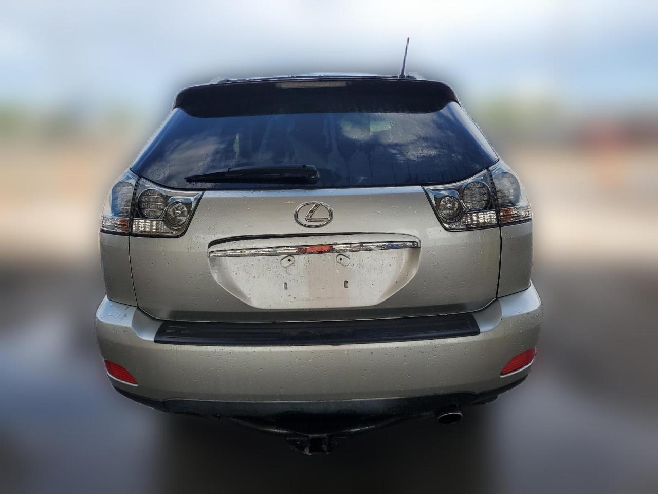 2006 Lexus Rx 400 VIN: JTJHW31U960009919 Lot: 61107854