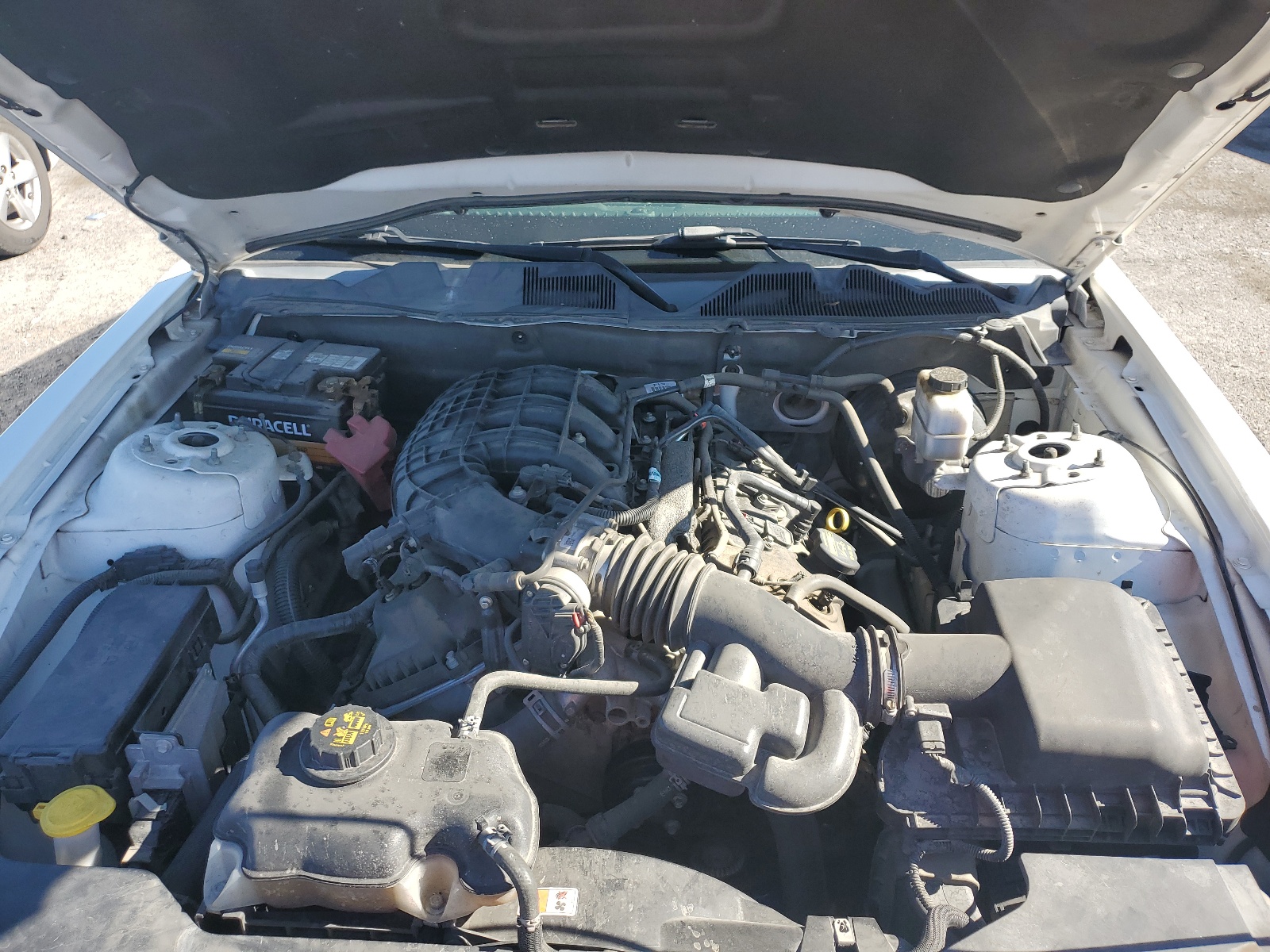 1ZVBP8AM2B5120793 2011 Ford Mustang