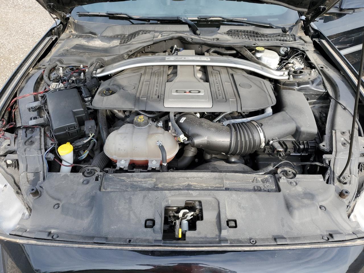 2019 Ford Mustang Gt VIN: 1FA6P8CF2K5154936 Lot: 57948954