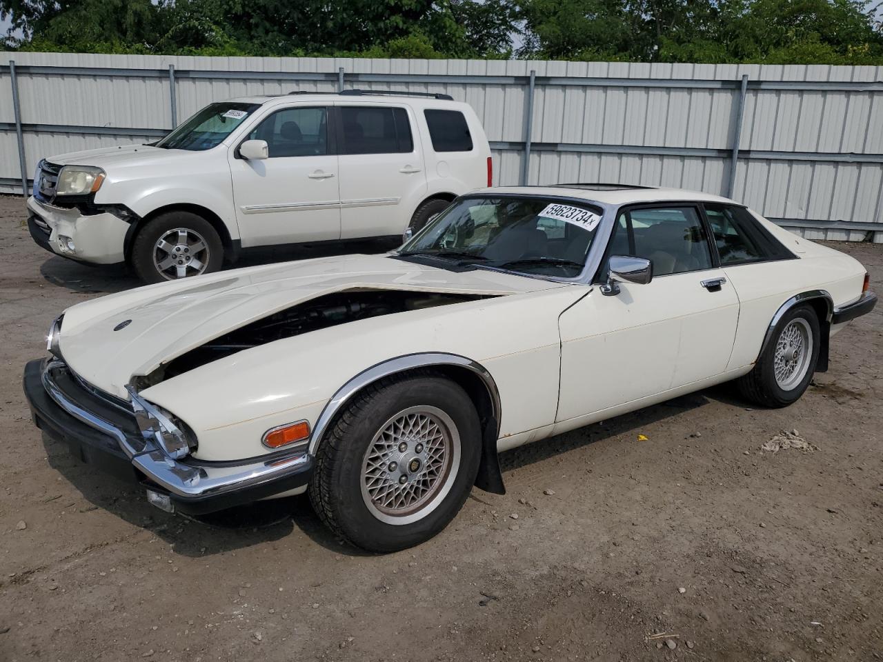 1989 Jaguar Xjs VIN: SAJNA5841KC150225 Lot: 59623734