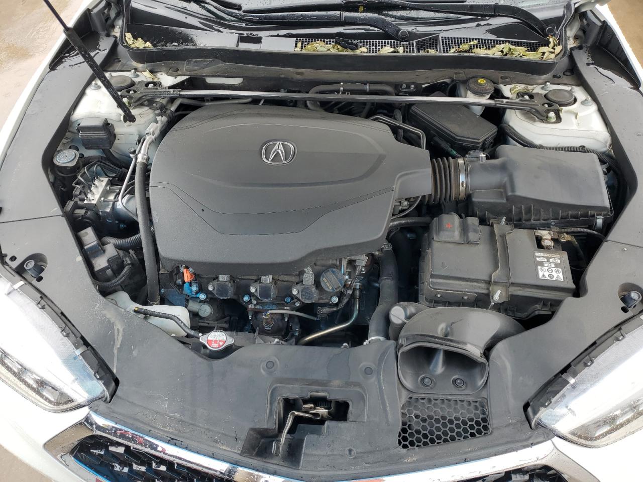 19UUB2F54JA005449 2018 Acura Tlx Tech