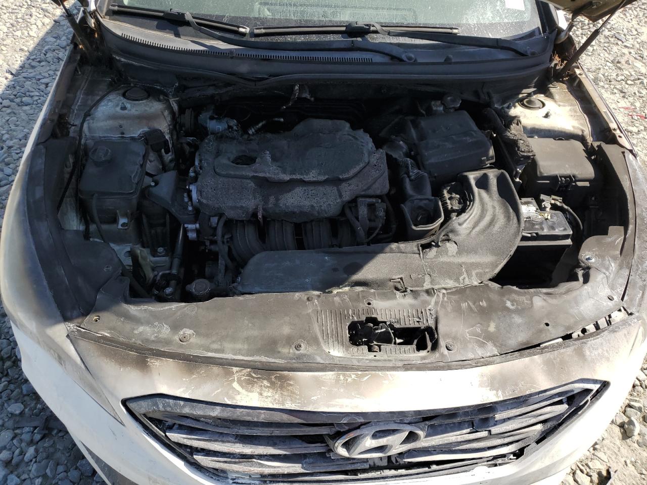 2015 Hyundai Sonata Sport VIN: 5NPE34AF8FH214379 Lot: 58668824