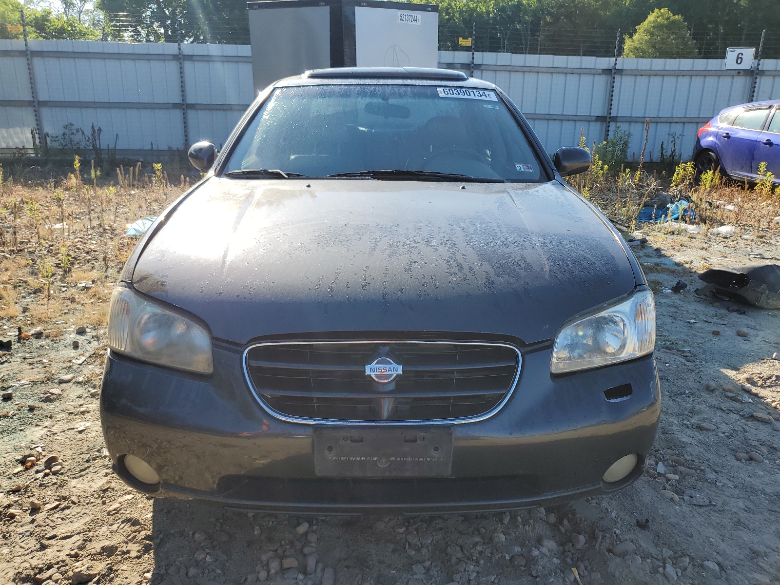 JN1CA31A9YT223234 2000 Nissan Maxima Gle