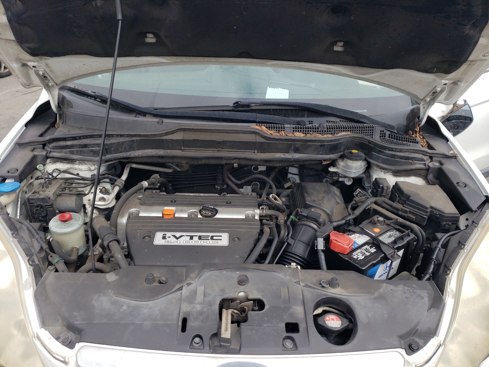 JHLRE38717C067973 2007 Honda Cr-V Exl