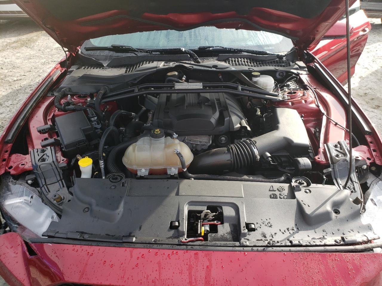 2019 Ford Mustang VIN: 1FATP8UH3K5122547 Lot: 57134184