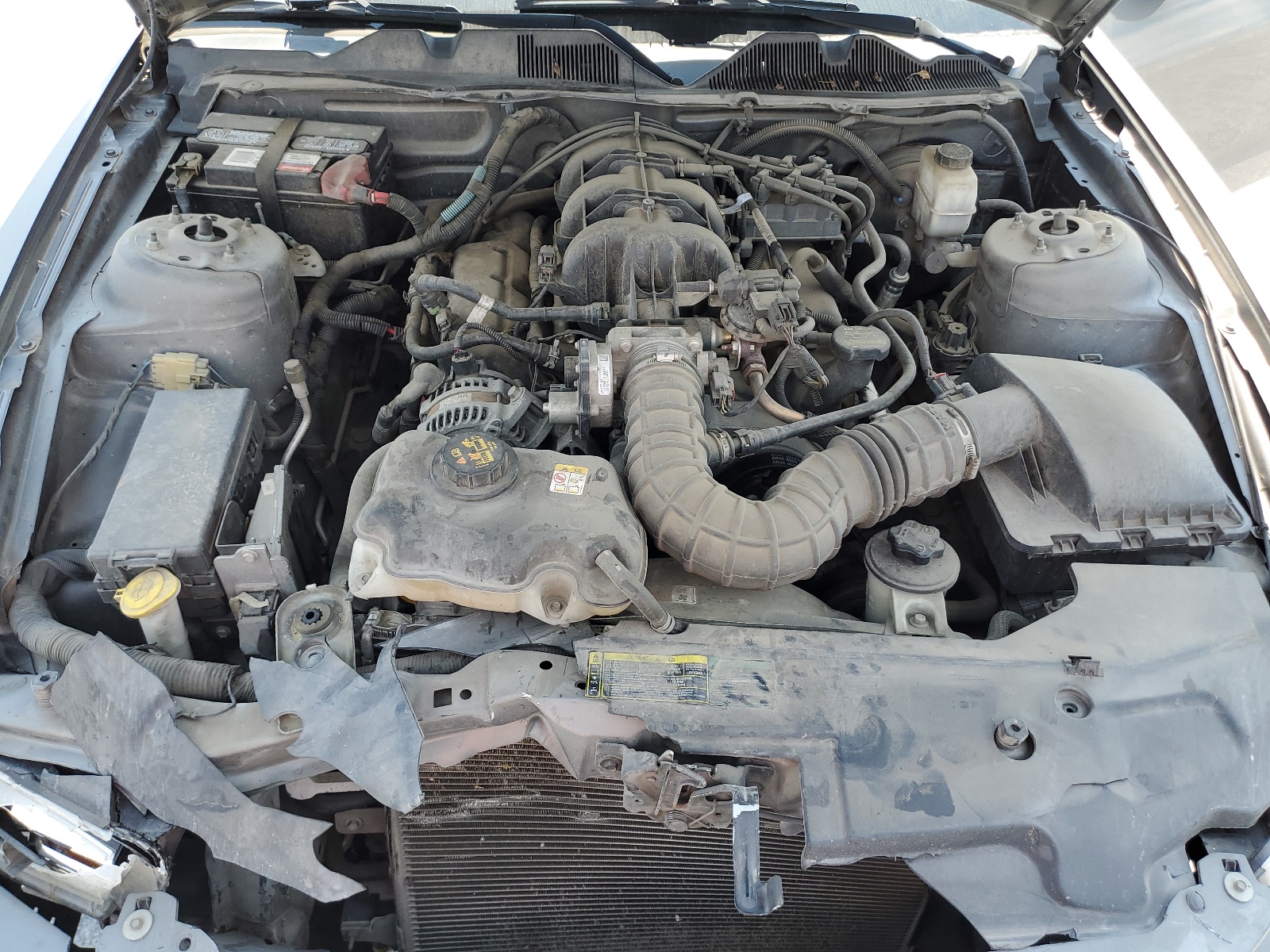 1ZVBP8AN5A5143329 2010 Ford Mustang