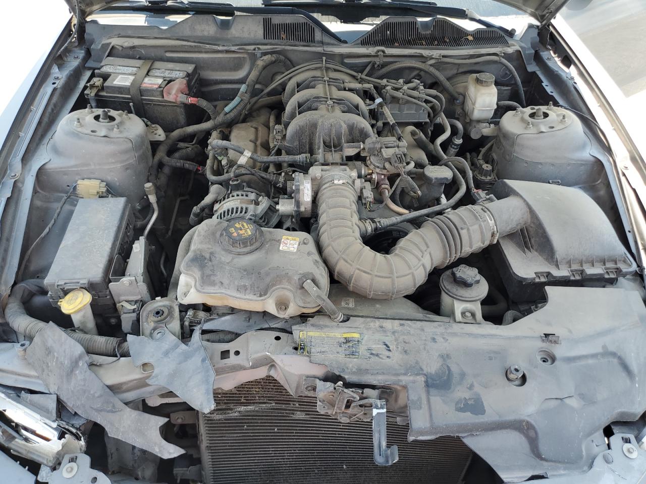 2010 Ford Mustang VIN: 1ZVBP8AN5A5143329 Lot: 59652524