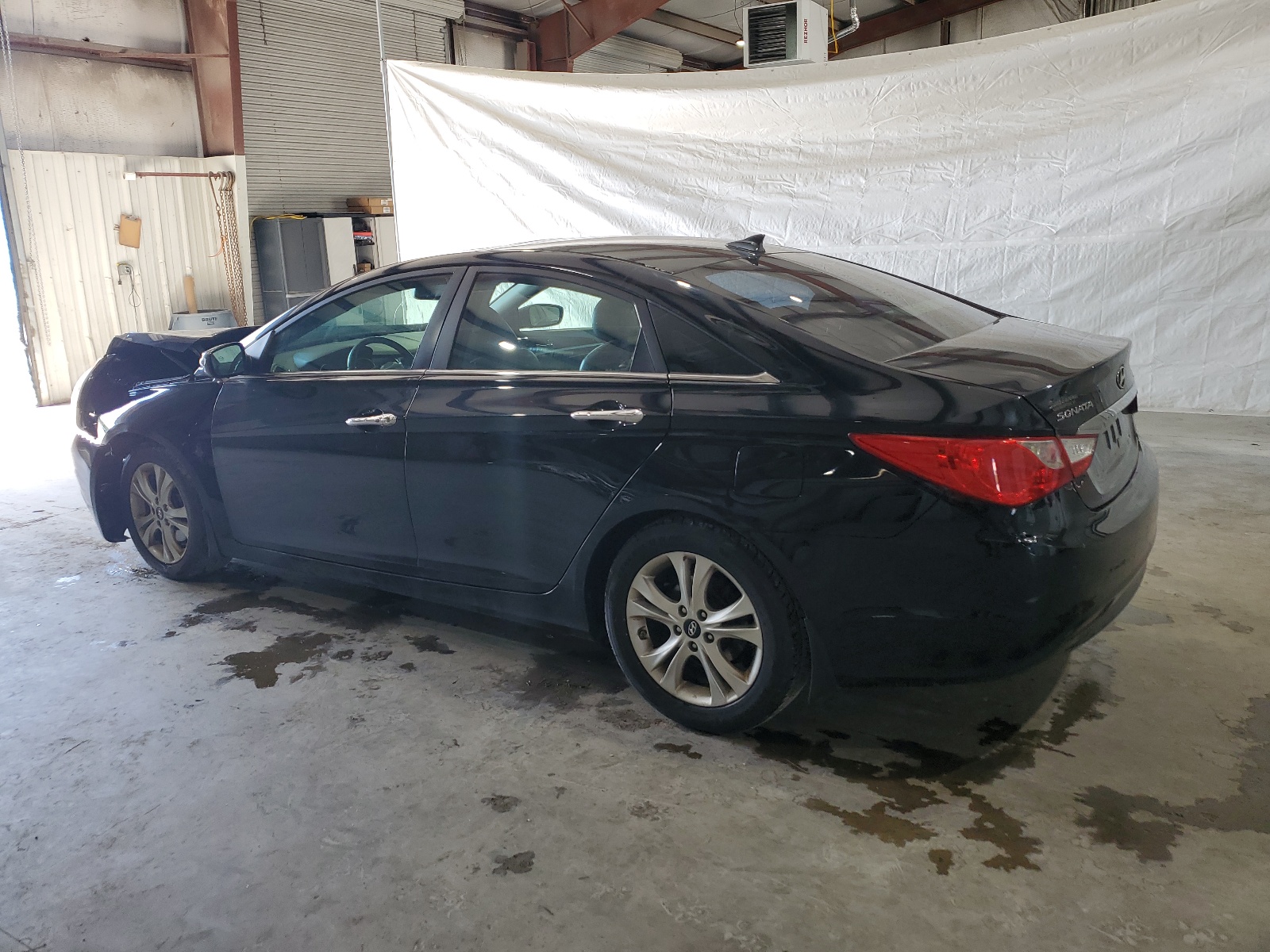 5NPEC4AC3DH528475 2013 Hyundai Sonata Se