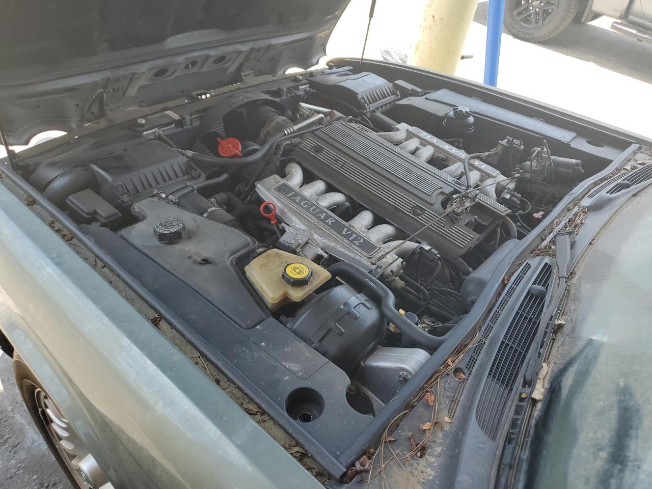 1995 Jaguar Xj12 VIN: SAJMX1346SC721735 Lot: 55711114