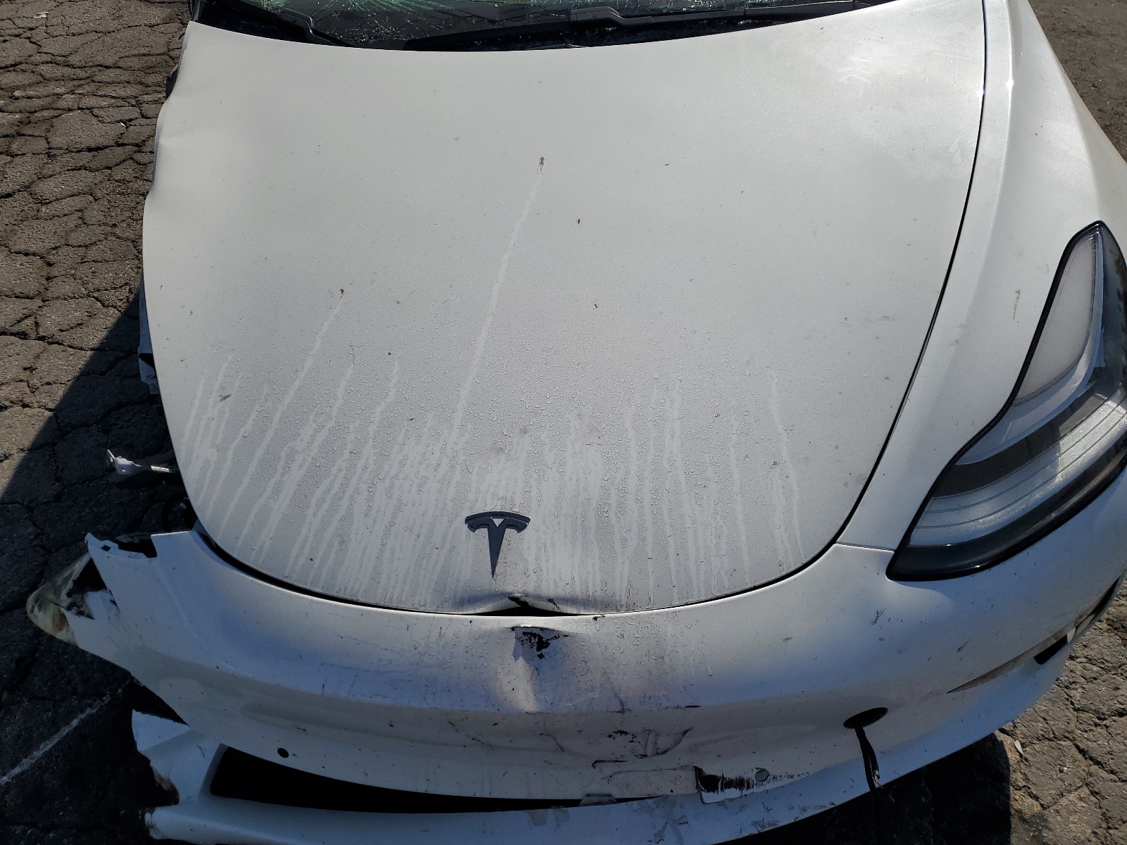 5YJ3E1EA4LF614786 2020 Tesla Model 3