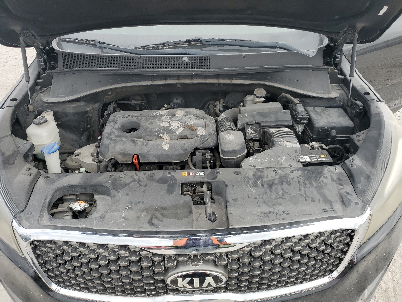 5XYPG4A36GG050464 2016 Kia Sorento Lx