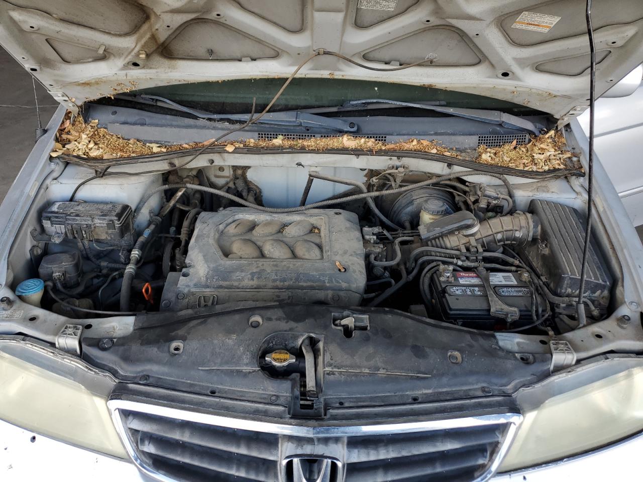 2001 Honda Odyssey Ex VIN: 2HKRL18671H531925 Lot: 60275444