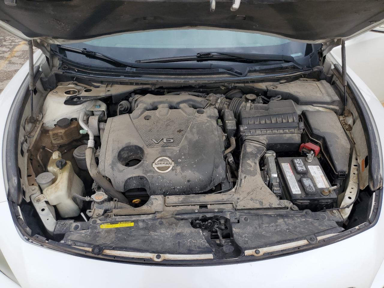 1N4AA51E19C844526 2009 Nissan Maxima S