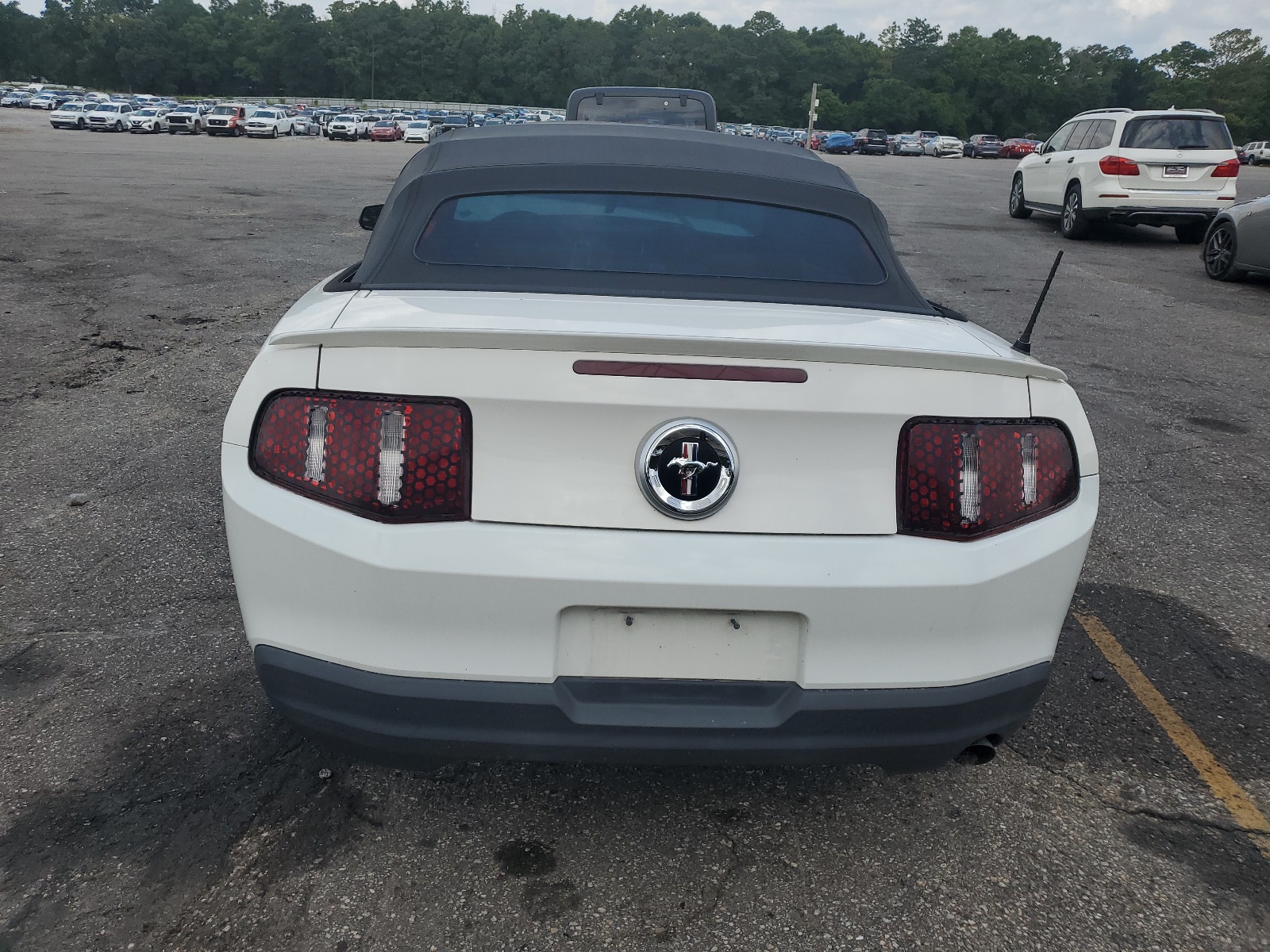 1ZVBP8EN7A5170364 2010 Ford Mustang