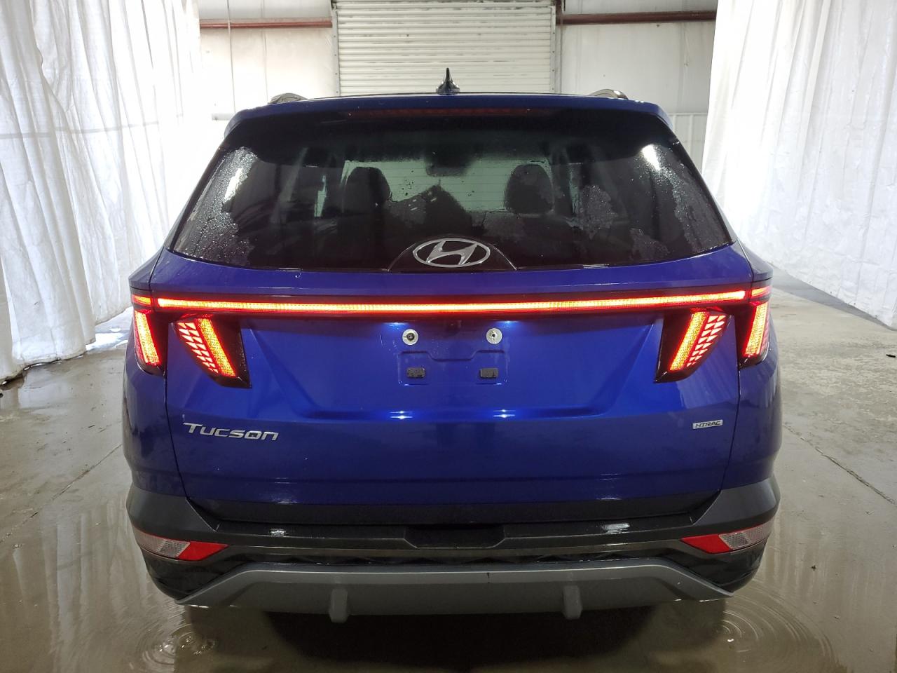 2023 Hyundai Tucson Limited VIN: 5NMJECAE5PH189336 Lot: 58085324