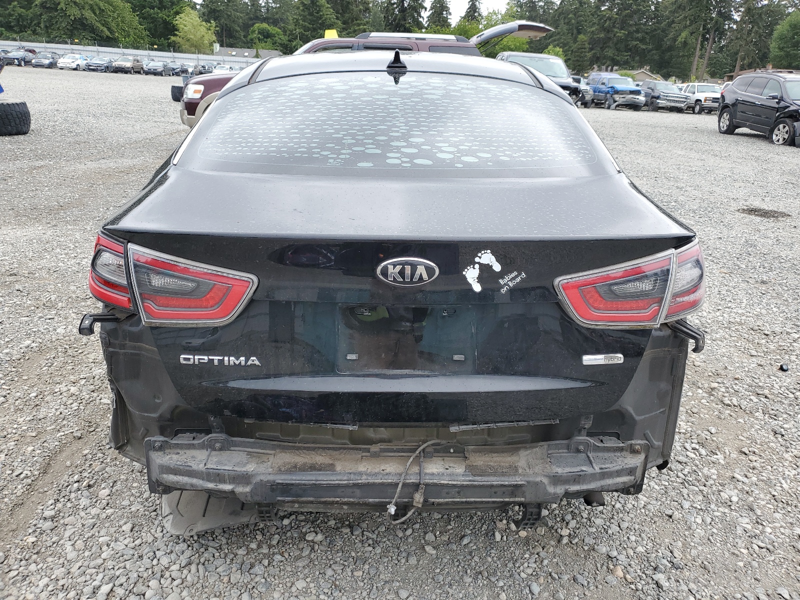 KNAGM4AD9E5068901 2014 Kia Optima Hybrid