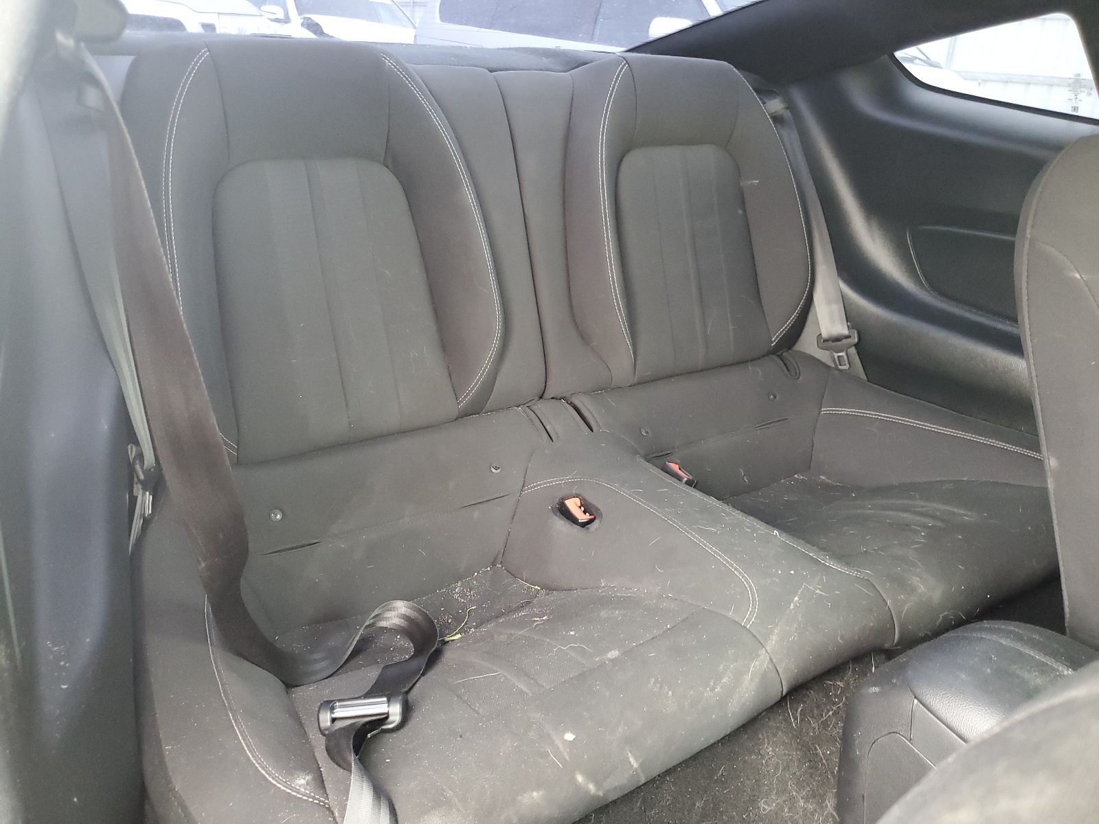 1FA6P8TH7K5134019 2019 Ford Mustang