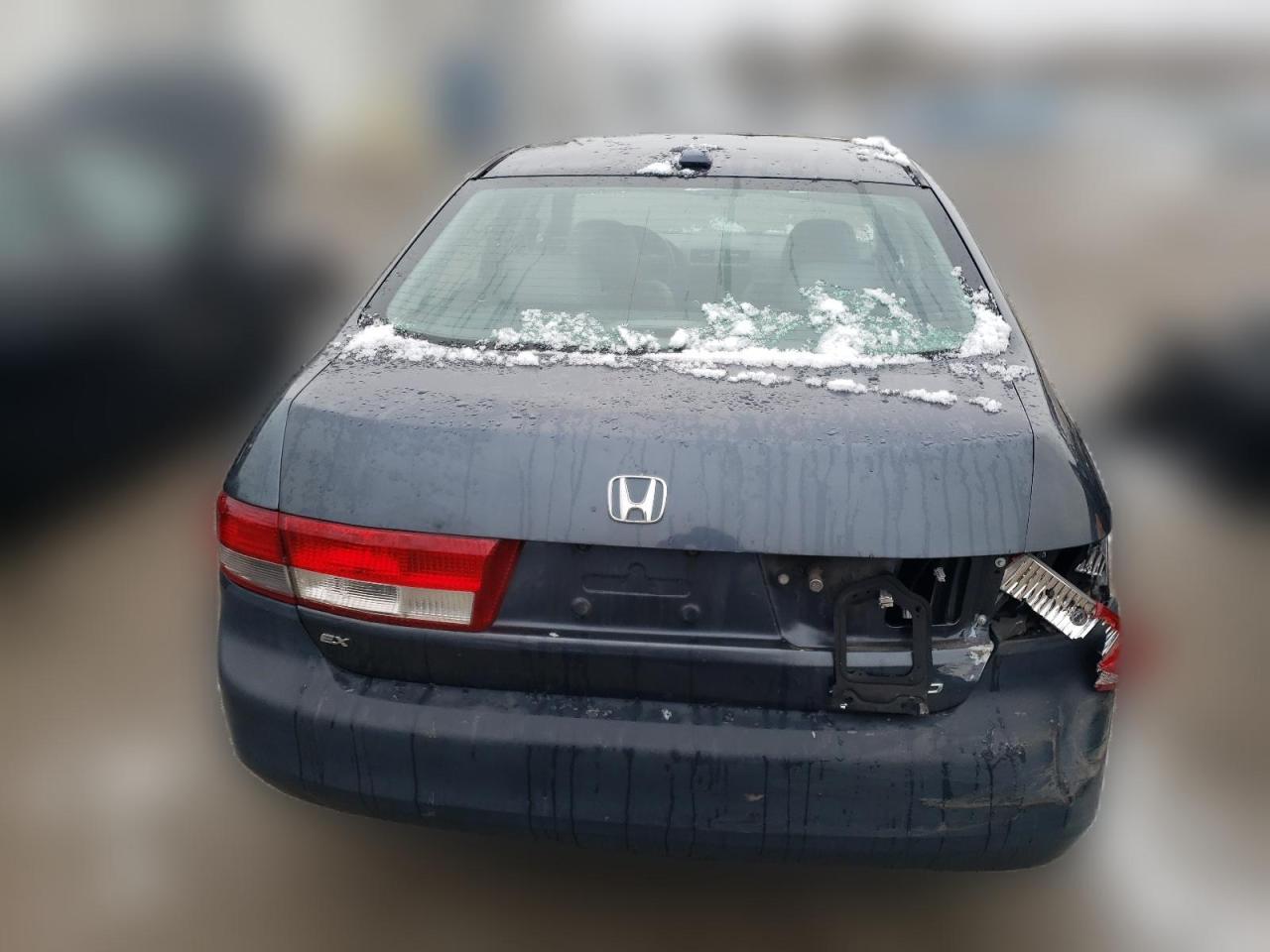 2004 Honda Accord Ex VIN: 1HGCM568X4A044004 Lot: 41103674