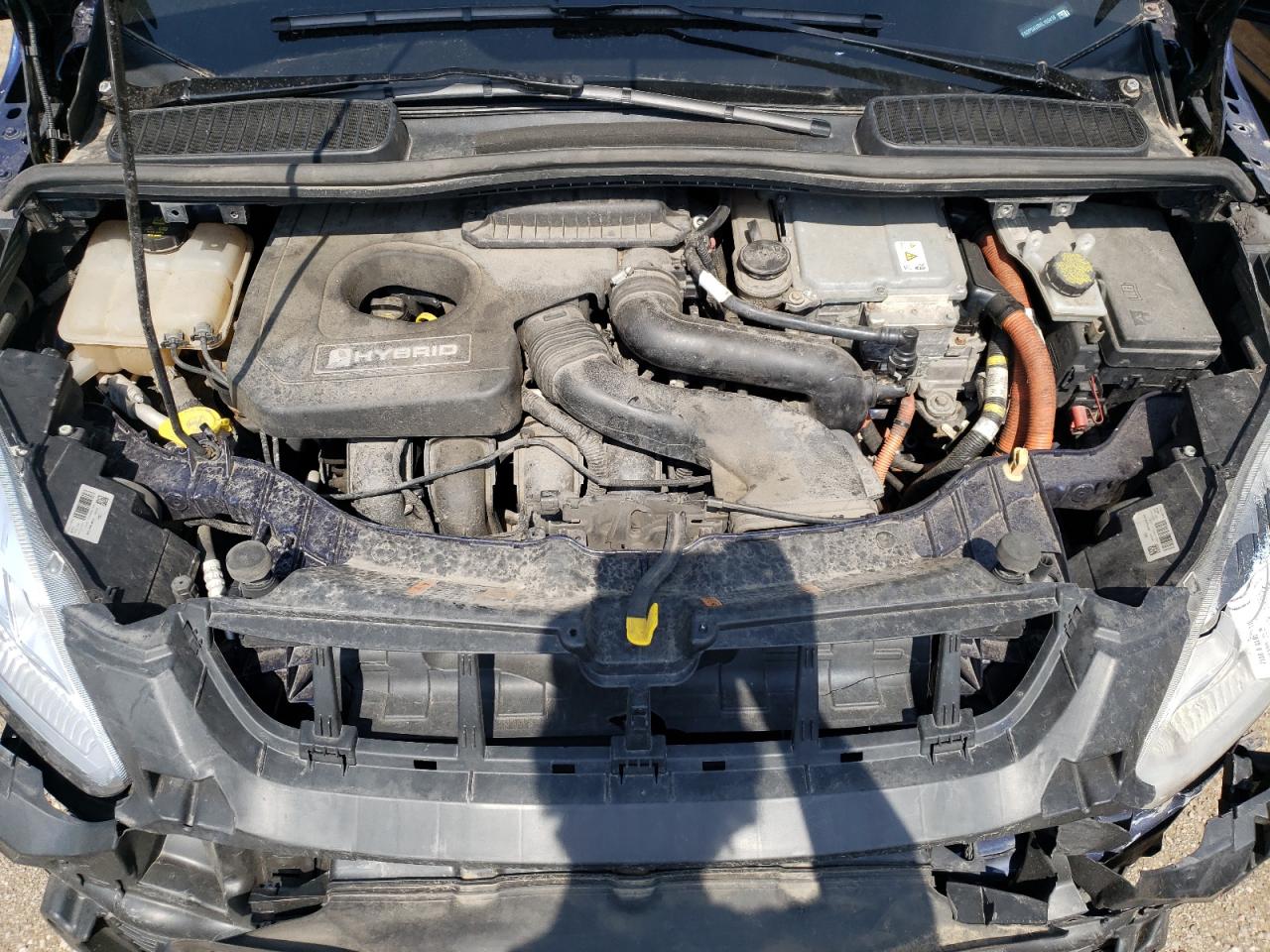 2017 Ford C-Max Se VIN: 1FADP5AU8HL103419 Lot: 59155744