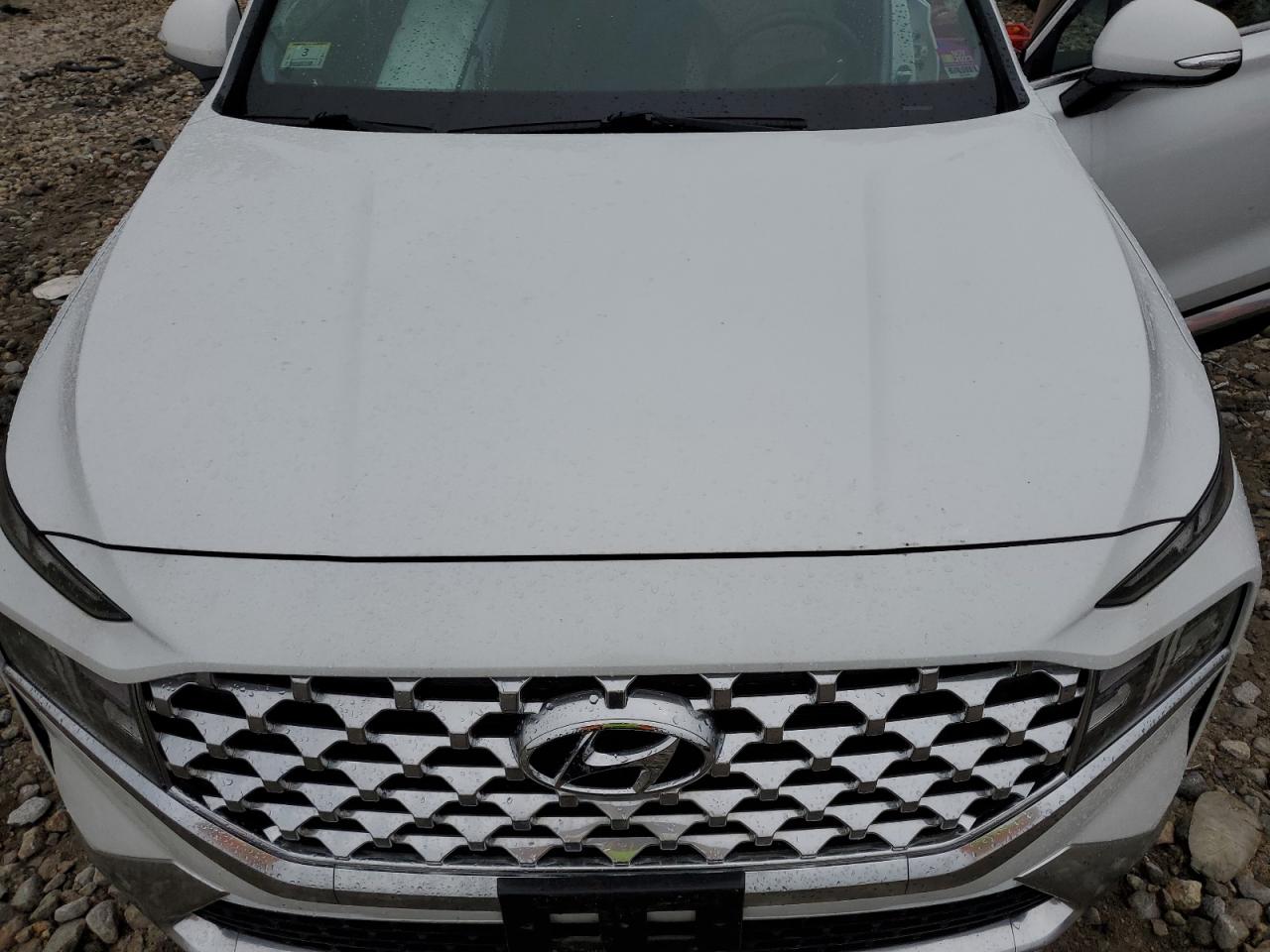 2021 Hyundai Santa Fe Sel VIN: 5NMS6DAJ4MH311944 Lot: 59137984