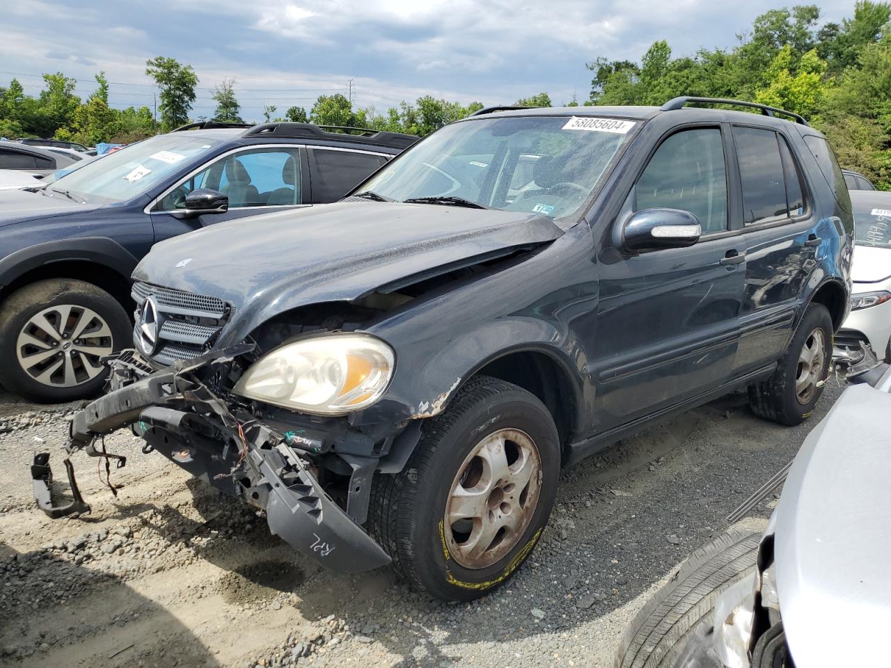 2003 Mercedes-Benz Ml 320 VIN: 4JGAB54E23A372483 Lot: 58085604