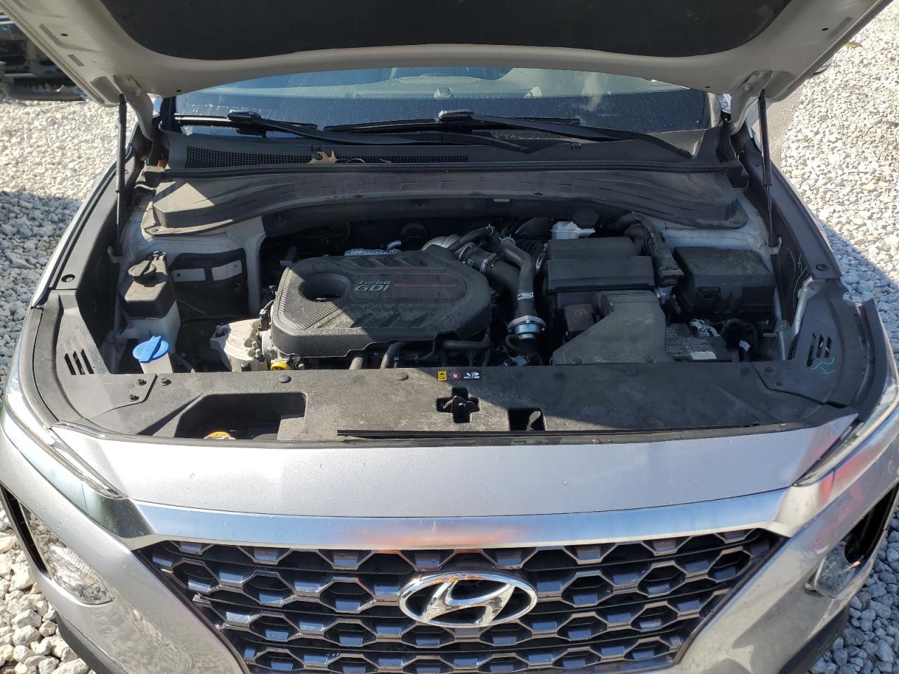 2020 Hyundai Santa Fe Sel VIN: 5NMS3CAA1LH186323 Lot: 58419494