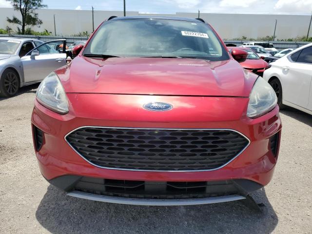  FORD ESCAPE 2020 Czerwony