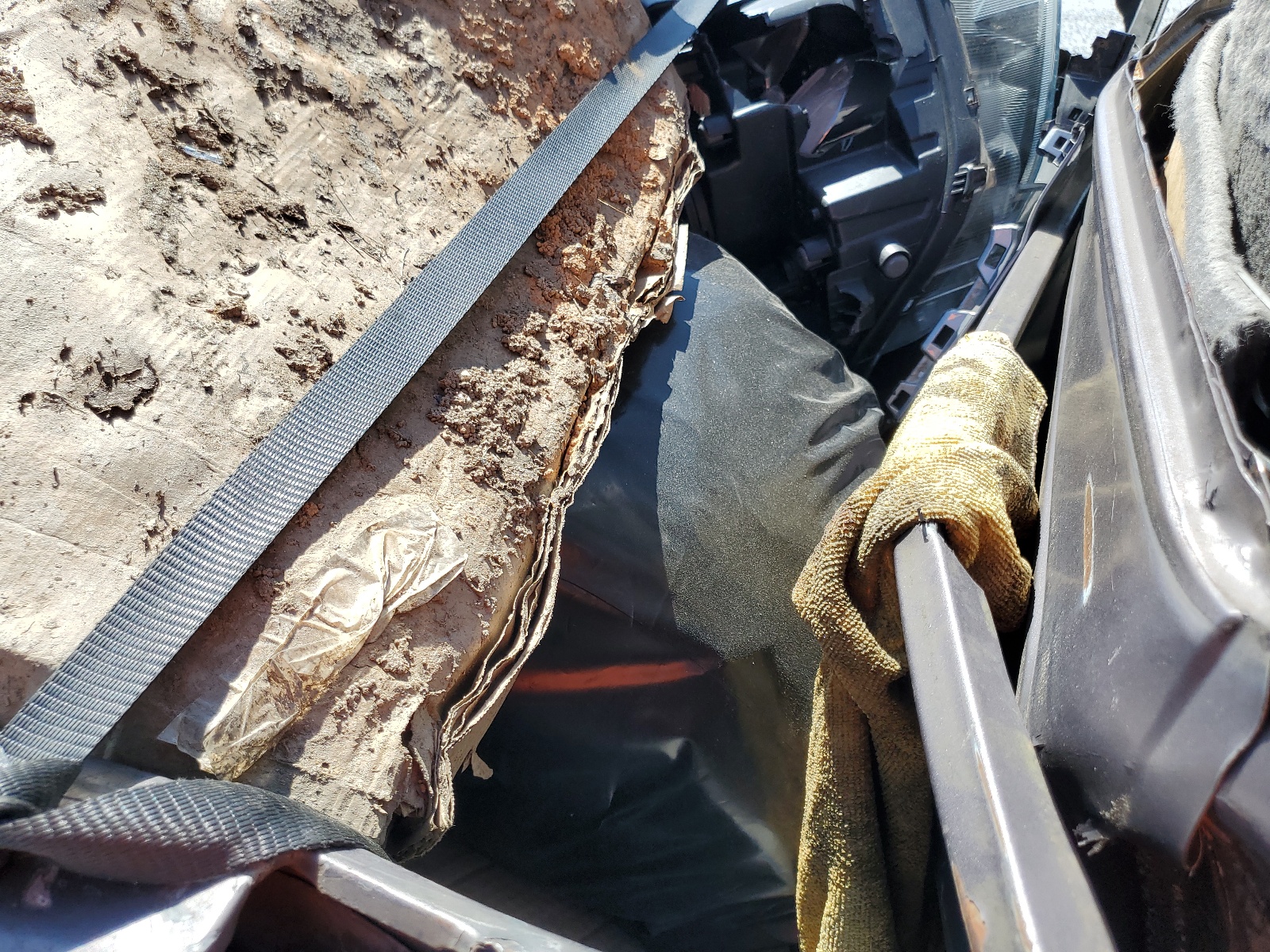 1FTCR10A1SUB89349 1995 Ford Ranger