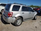 2010 Ford Escape Xlt   for Sale in Indianapolis, IN - Front End