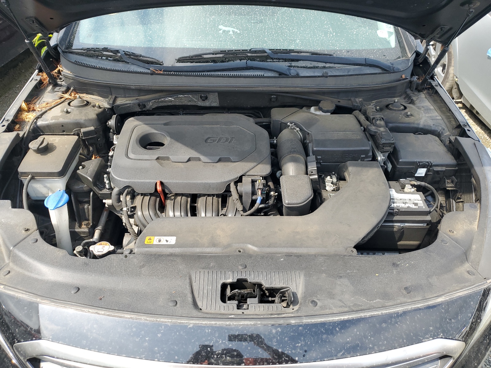 5NPE24AF5HH569788 2017 Hyundai Sonata Se