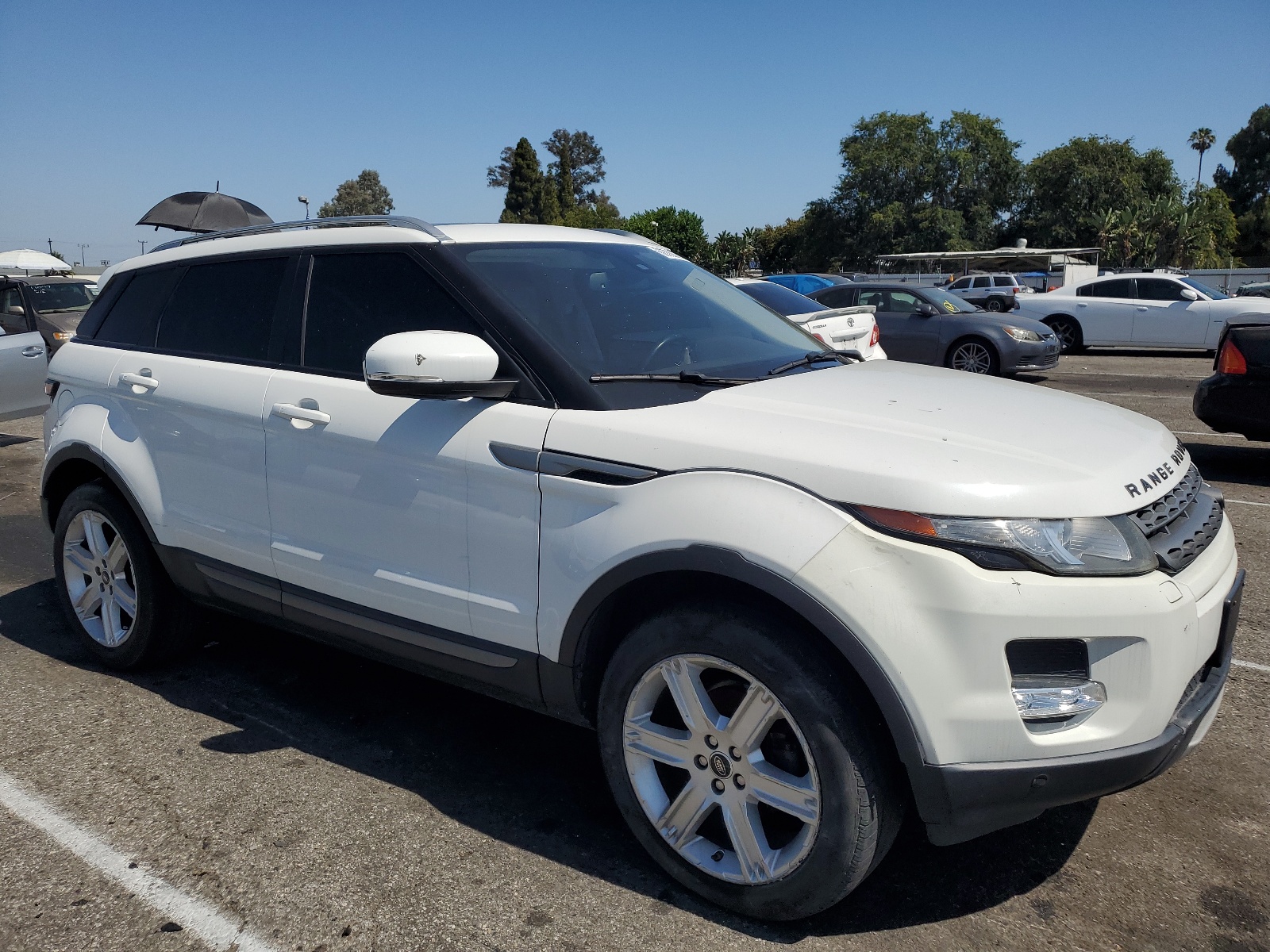 2013 Land Rover Range Rover Evoque Pure Plus vin: SALVP2BG2DH767162