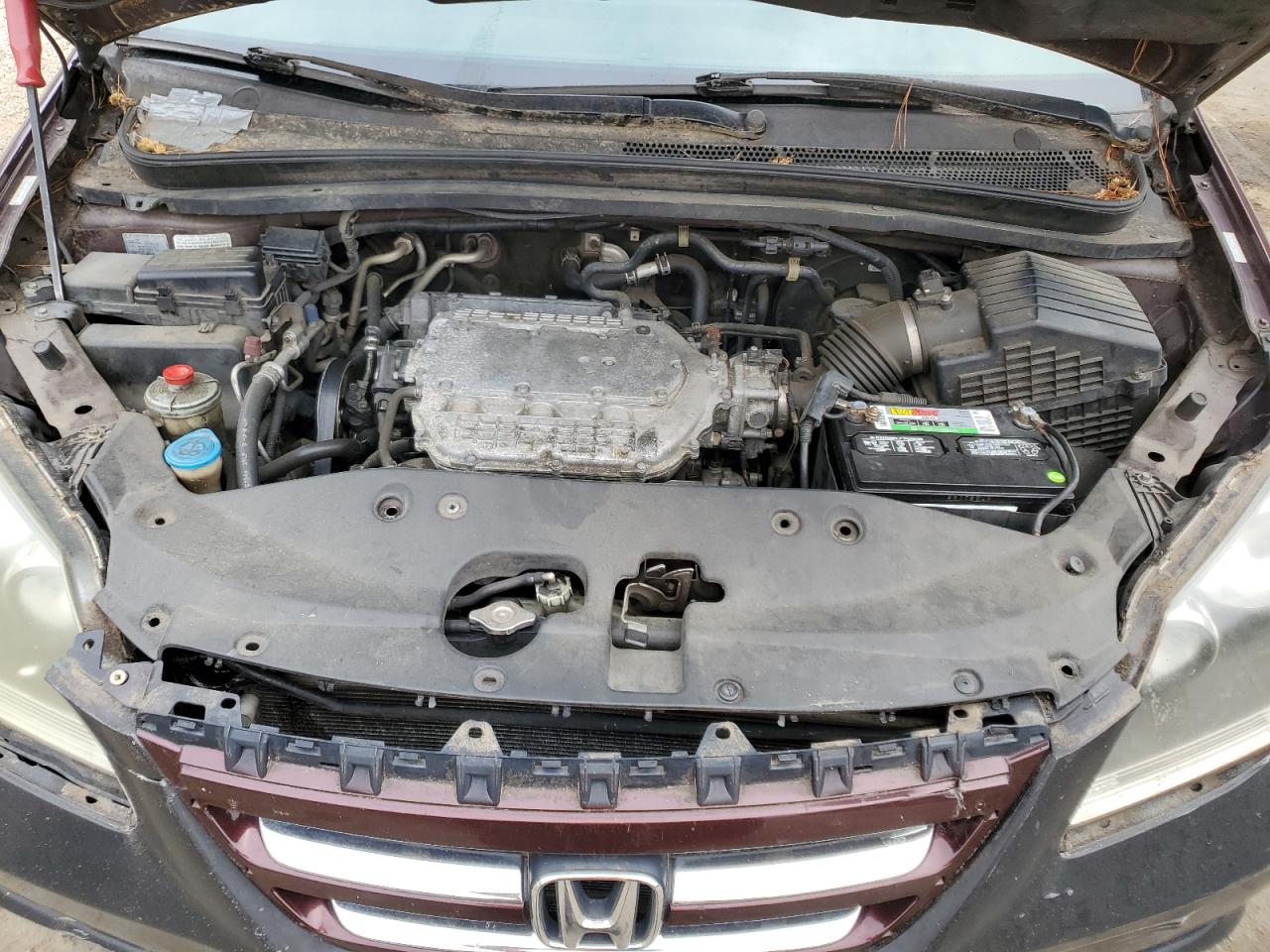 2007 Honda Odyssey Exl VIN: 5FNRL38707B417759 Lot: 60703474