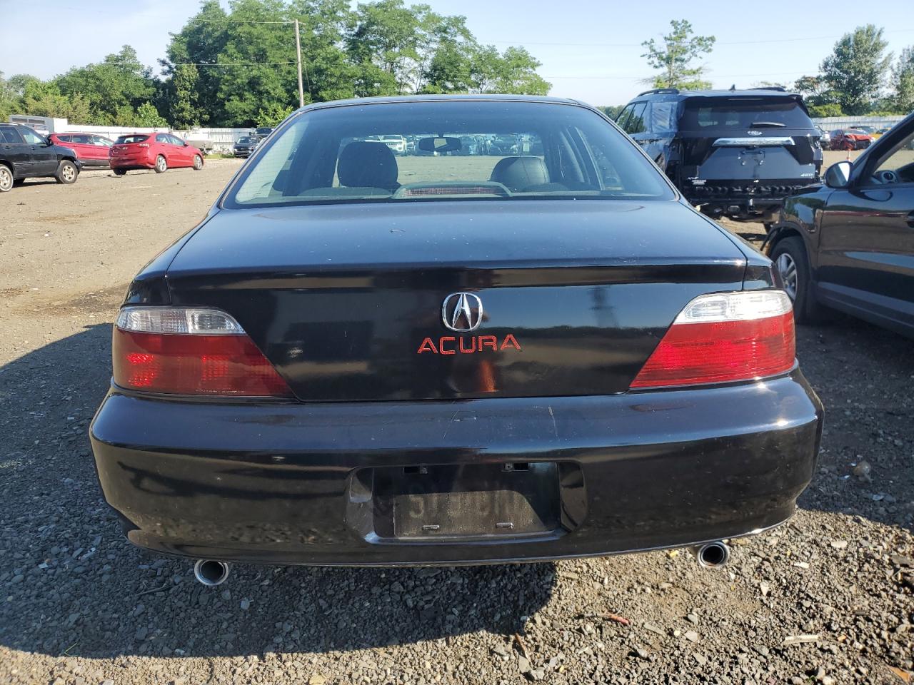 2003 Acura 3.2Tl VIN: 19UUA56603A064353 Lot: 60198004