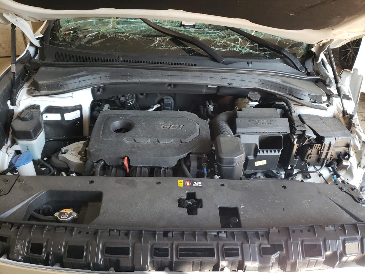 2020 Hyundai Santa Fe Sel VIN: 5NMS33AD6LH246204 Lot: 60735294