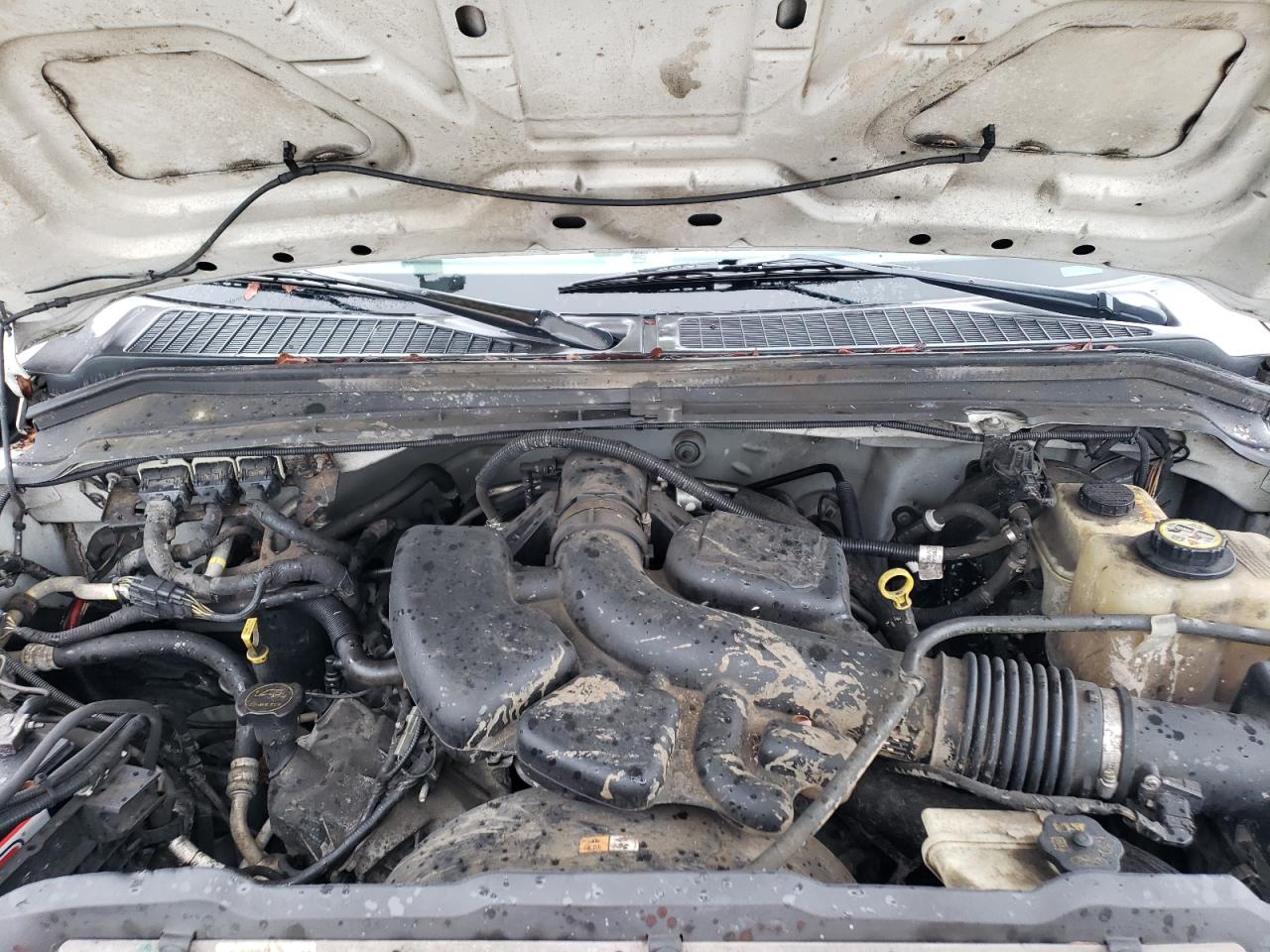 2008 Ford F350 Srw Super Duty VIN: 1FDWF30558EC95709 Lot: 56131804