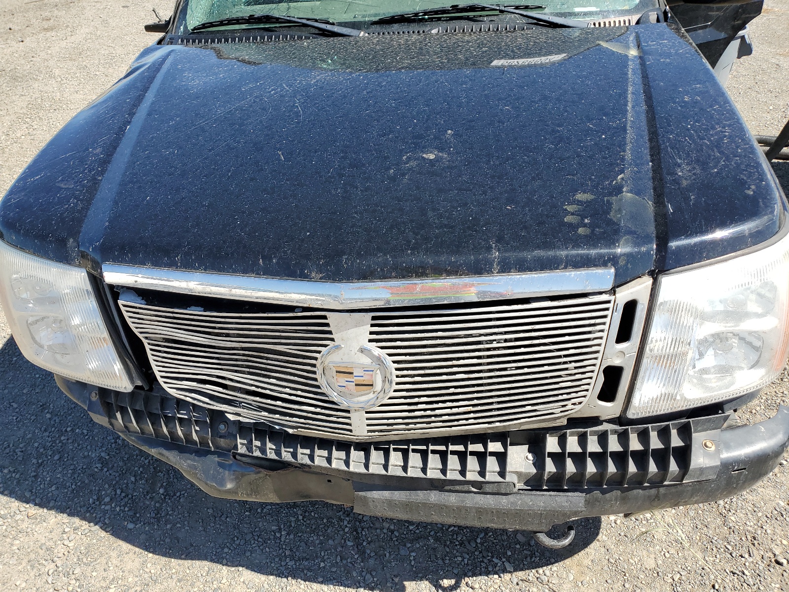 1GYEK63N25R178354 2005 Cadillac Escalade Luxury