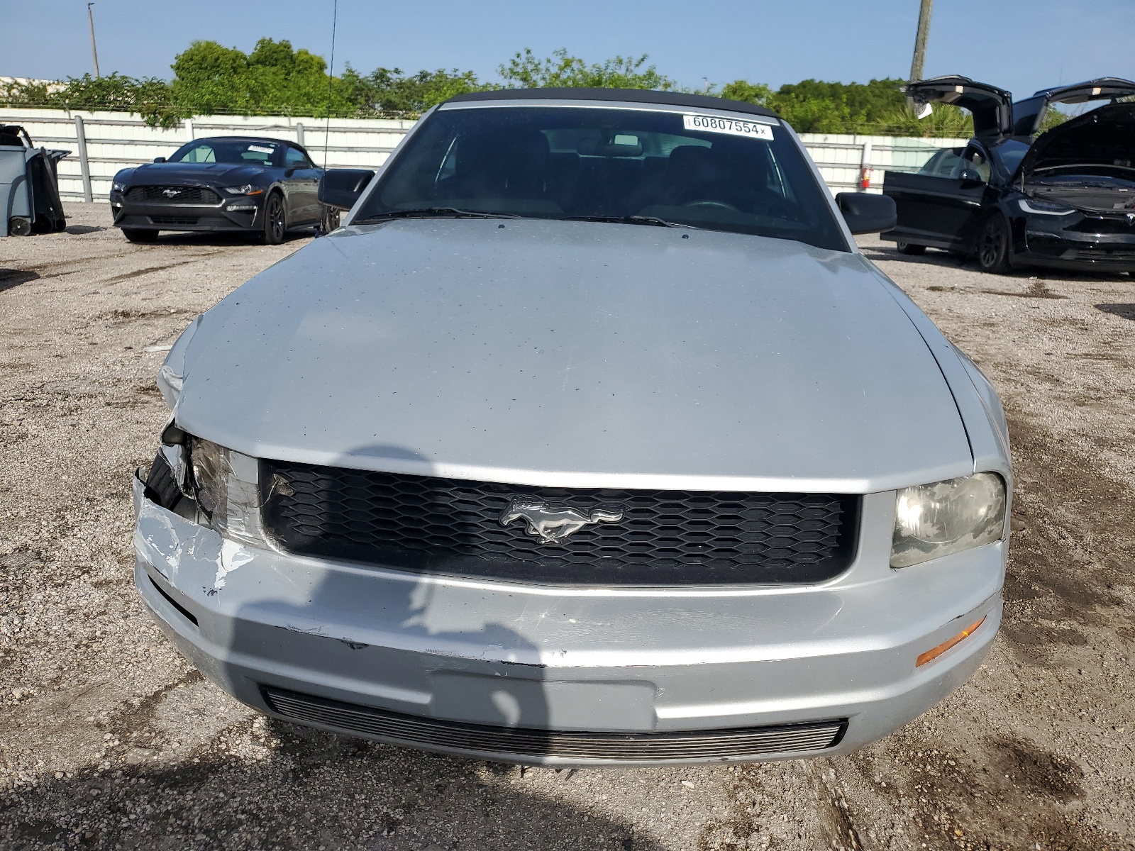 1ZVFT84N555203852 2005 Ford Mustang