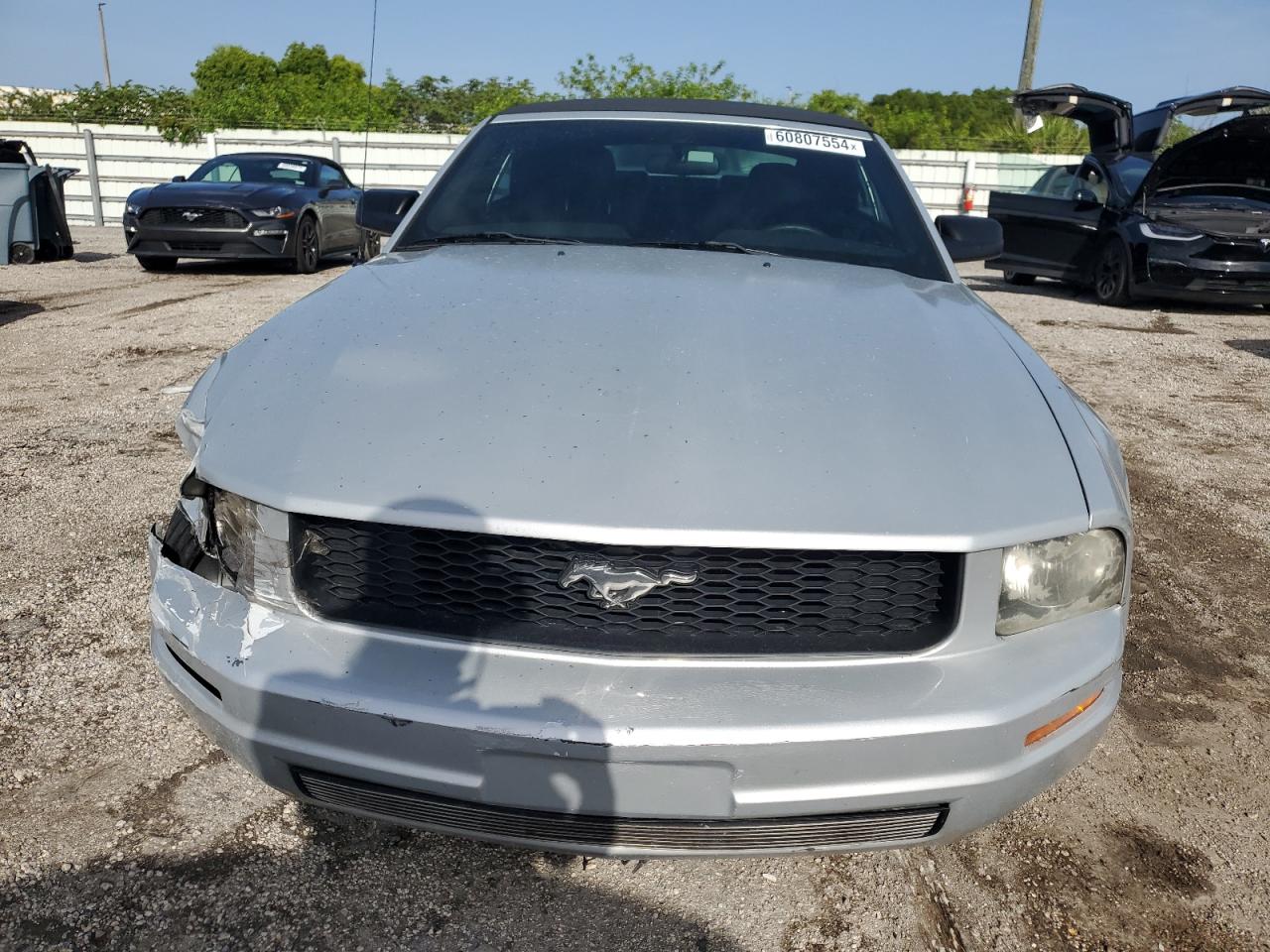 2005 Ford Mustang VIN: 1ZVFT84N555203852 Lot: 60807554