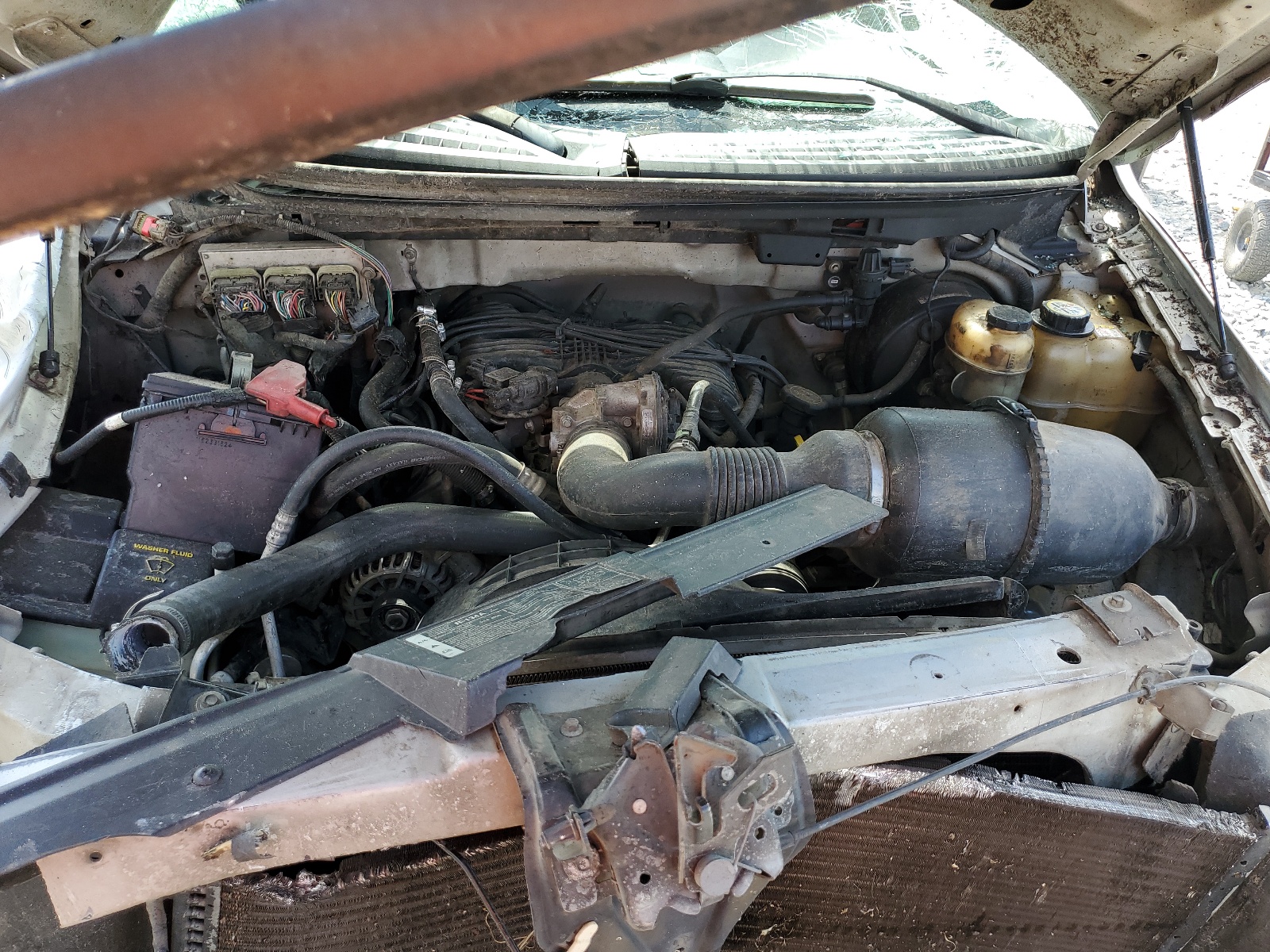 1FTRF12288KC28600 2008 Ford F150 1FTRF12288KC28600 2008 Ford F150