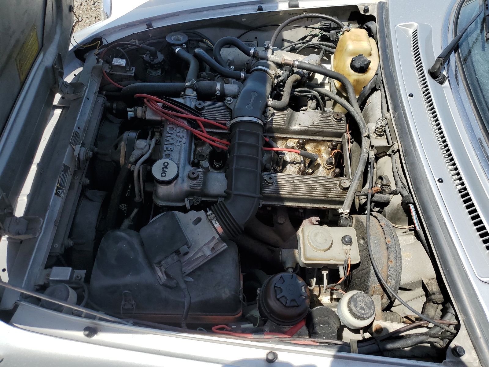 ZARBB32N7M6007923 1991 Alfa Romeo Spider Veloce