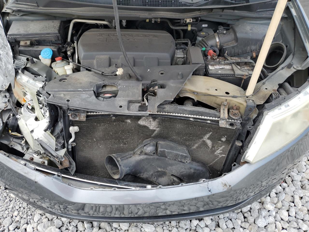 2011 Honda Odyssey Exl VIN: 5FNRL5H66BB019354 Lot: 59740914