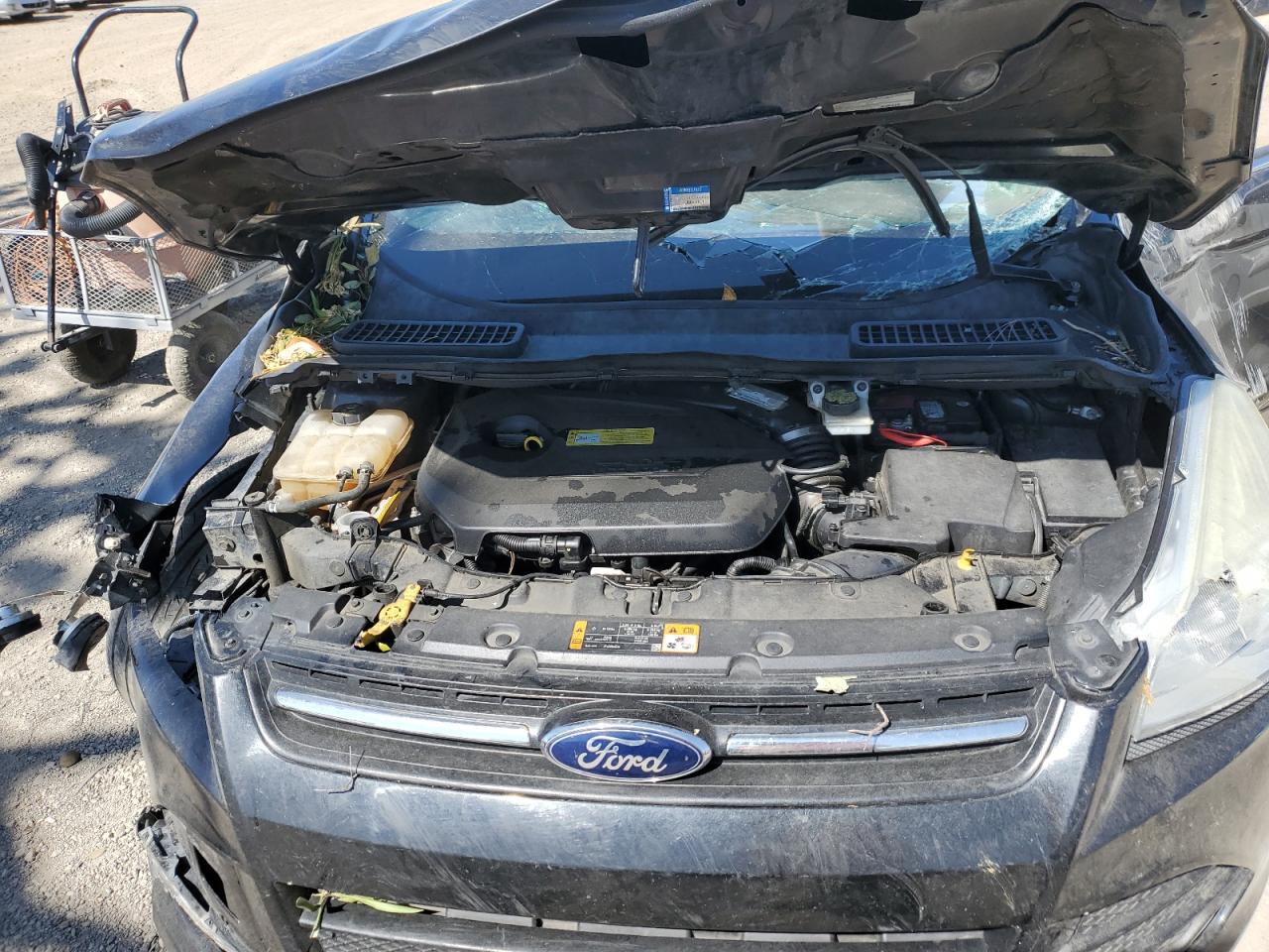 2013 Ford Escape Se VIN: 1FMCU9GX2DUC80345 Lot: 58557314