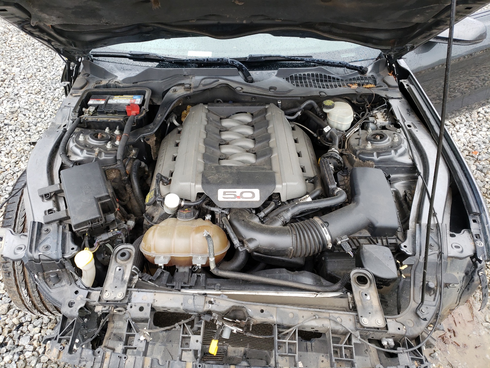 1FA6P8CF8F5374023 2015 Ford Mustang Gt