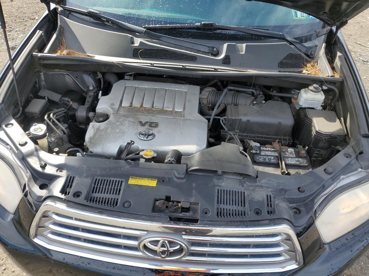 2010 Toyota Highlander Limited VIN: 5TDDK3EH9AS025828 Lot: 60695054