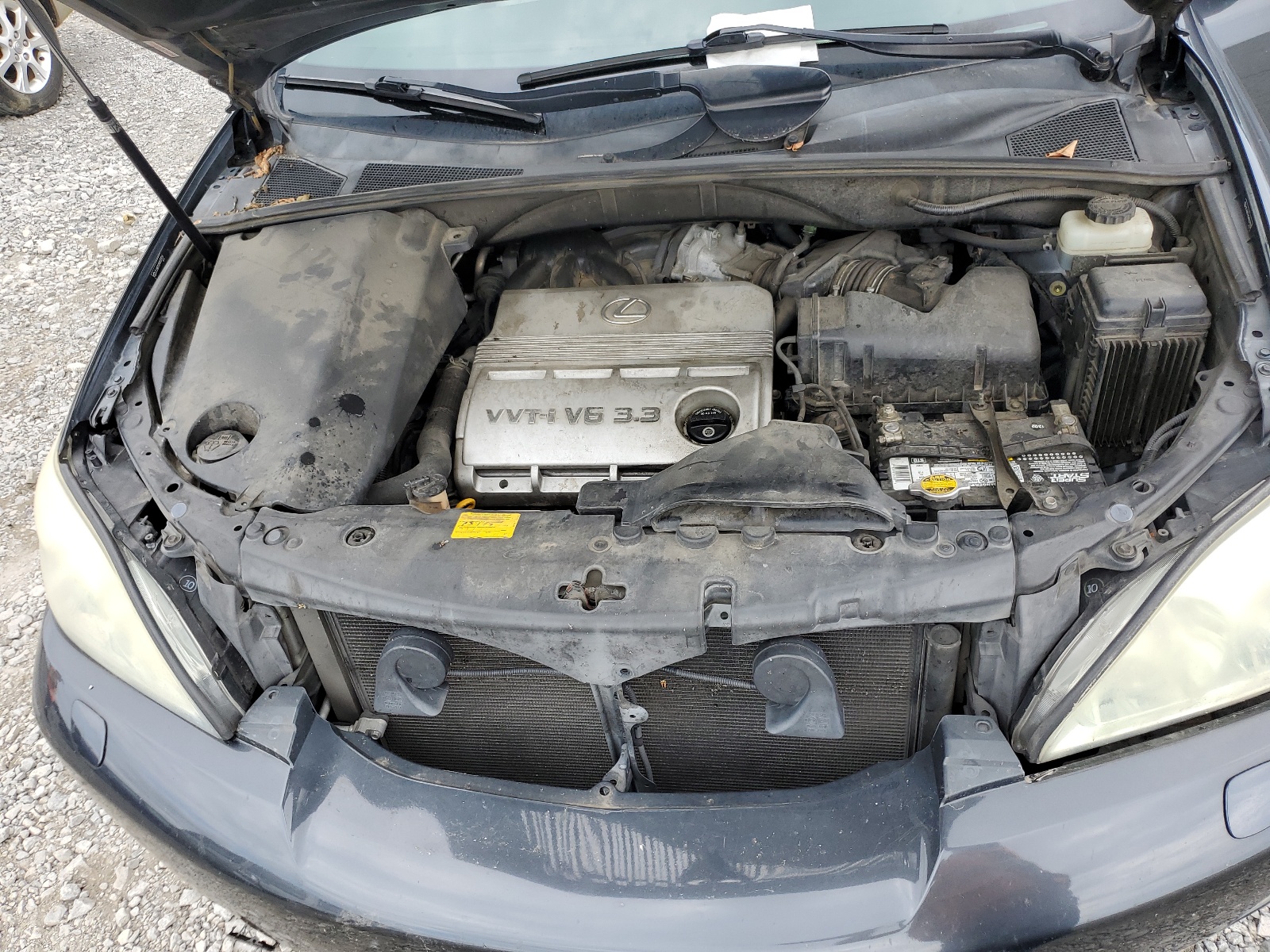 JTJHA31U540031556 2004 Lexus Rx 330