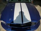 Mcfarland, WI에서 판매 중인 2009 Ford Mustang  - Front End